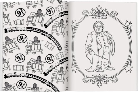 Harry Potter Magiczna Kolorowanka Magiczne Rzeczy do Pokolorowania Ameet
