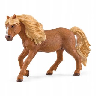 Koń Ogier konia islandzkiego Schleich 13943