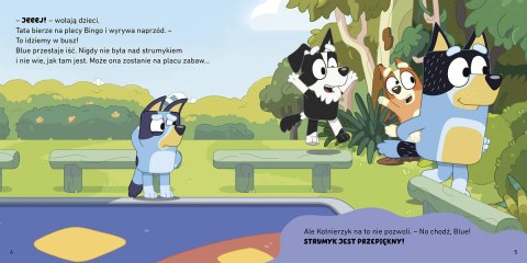 Książeczka Bajeczka Bluey Strumyk Moja czytanka Harperkids