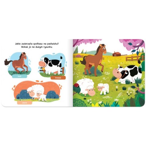 Książeczka dla Maluszka Raz, dwa, trzy szukam! Na wsi Poznaję Zwierzątka