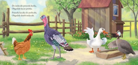 Ptasie Plotki Julian Tuwim Oprawa Twarda Skrzat Bajki Tuwima