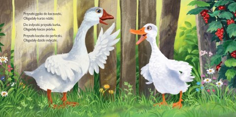 Ptasie Plotki Julian Tuwim Oprawa Twarda Skrzat