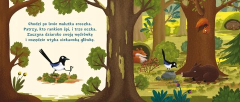 Rok w lesie Zasypianka Nasza Księgarnia