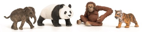 Schleich 42736 Wild Life Asia zestaw startowy 4 Figurki