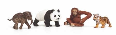 Schleich 42736 Wild Life Asia zestaw startowy 4 Figurki
