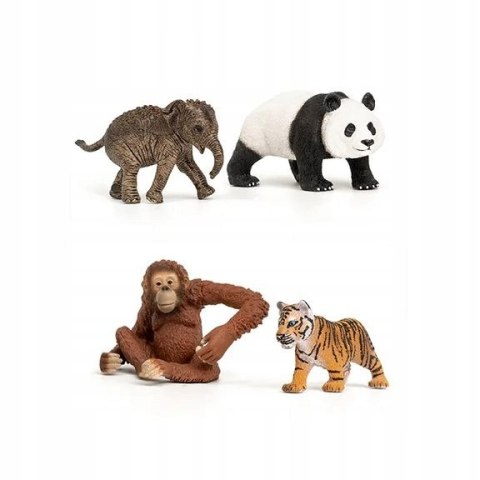 Schleich 42736 Wild Life Asia zestaw startowy 4 Figurki