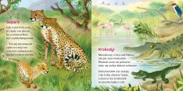 W Afryce Krokodyl Ewa Stadtmüller Oprawa Twarda Skrzat