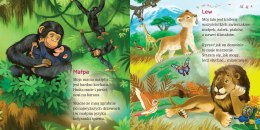 W Afryce Lew Ewa Stadtmüller Oprawa Twarda Skrzat