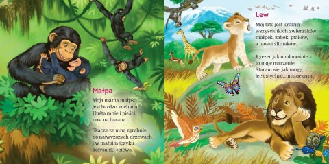 W Afryce Lew Ewa Stadtmüller Oprawa Twarda Skrzat