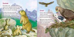 W Europie Góry Ewa Stadtmüller Oprawa Twarda Skrzat