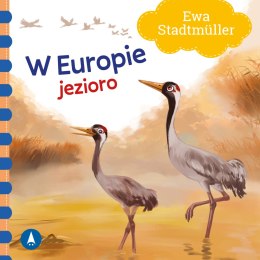 W Europie Jezioro Ewa Stadtmüller Oprawa Twarda Skrzat