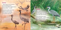 W Europie Jezioro Ewa Stadtmüller Oprawa Twarda Skrzat