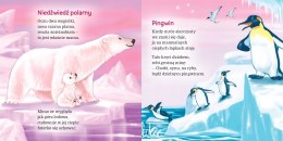 W Krainie Wiecznych Lodów Ewa Stadtmüller Oprawa Twarda Skrzat