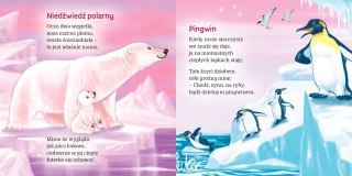 W Krainie Wiecznych Lodów Ewa Stadtmüller Oprawa Twarda Skrzat