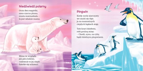 W Krainie Wiecznych Lodów Ewa Stadtmüller Oprawa Twarda Skrzat