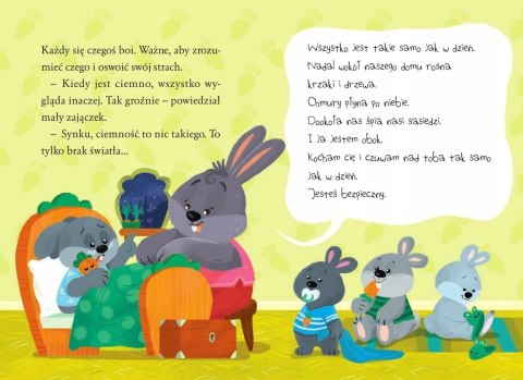 Duże troski małych zwierzątek Katarzyna Wierzbicka Skrzat