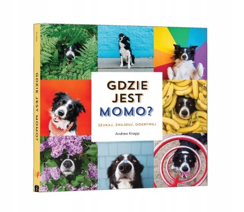Książeczka Gdzie jest Momo Knapp Andrew Szukaj Znajduj Odkrywaj