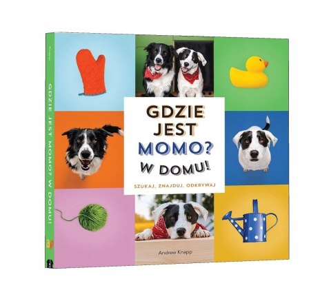 Książeczka Gdzie jest Momo? w Domu! Szukaj Znajduj Odkrywaj