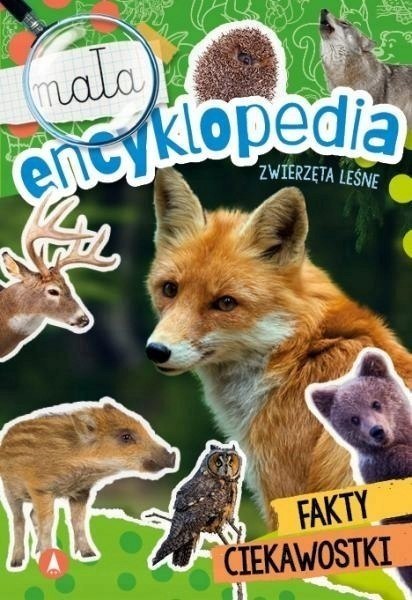 Mała Encyklopedia Zwierzęta Leśne Fakt Ciekawostki Skrzat
