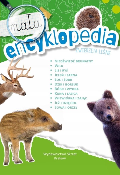Mała Encyklopedia Zwierzęta Leśne Fakt Ciekawostki Skrzat