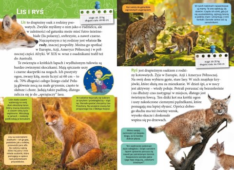 Mała Encyklopedia Zwierzęta Leśne Fakt Ciekawostki Skrzat