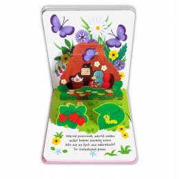 Na łące Otwórz i szukaj! Książeczka rozkładanka z okienkami Aksjomat