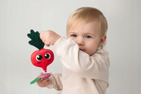 Ogródek warzywny zabawka Sensoryczna Mom's Care