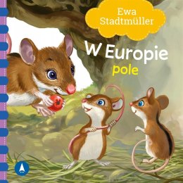 Pole. W Europie Ewa Stadtmüller Książeczka Skrzat