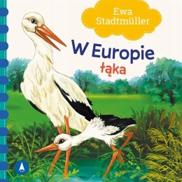 W Europie Łąka Ewa Stadtmüller Książeczka Skrzat