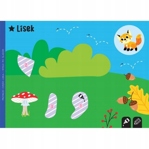 Wycinam Naklejam Rysuję. Na Łące. Wycinanki Edukacyjne Aksjomat