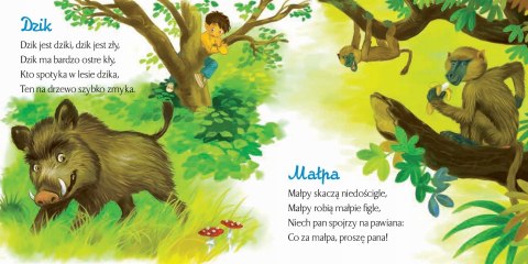 Zoo Jan Brzechwa Bajki Brzechwy Skrzat Książeczka