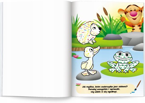 Disney Maluch Wodne zagadki Ameet Maluj Wodą