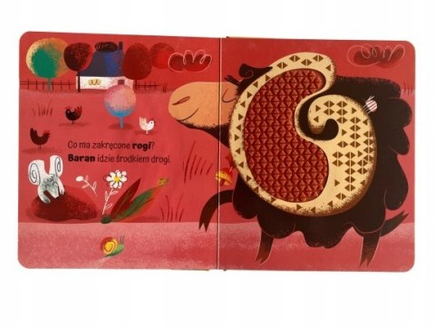 Dotykam Poznaję Wieś Książeczka Sensoryczna Na wsi