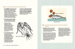 Książka 321 intrygujących faktów o zwierzętach Nasza Księgarnia