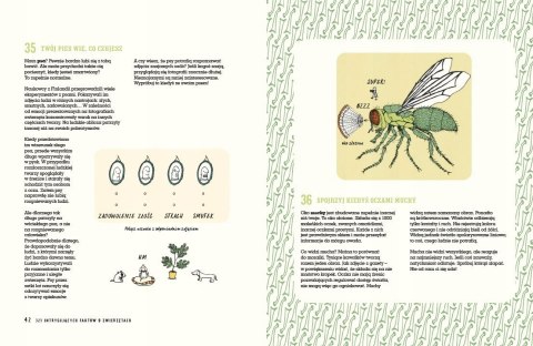 Książka 321 intrygujących faktów o zwierzętach Nasza Księgarnia