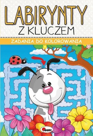 Labirynty z kluczem zadania do Kolorowania