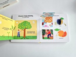 Owoce Moja książeczka z okienkami Akademia mądrego dziecka Harperkids