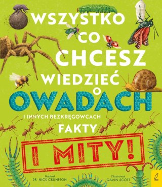 Wszystko, co chcesz wiedzieć o owadach i innych bezkręgowcach Fakty i mity