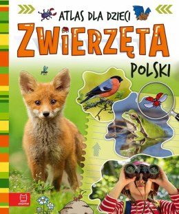 Zwierzęta Polski Atlas dla dzieci Aksjomat Oprawa Twarda