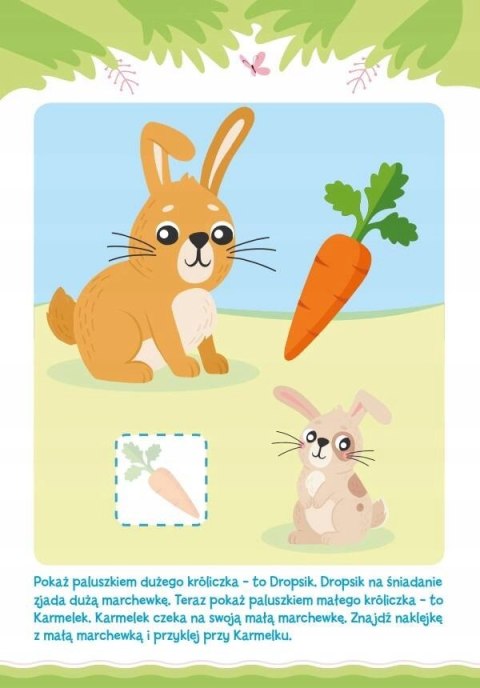 Akademia 2-Latka z Naklejkami Zadania Ćwiczenia Zagadki 2+ Skrzat