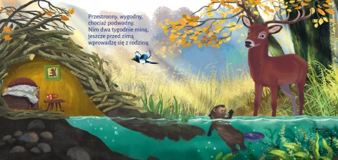 Bóbr i Jeleń Bajki Bajka Książeczka