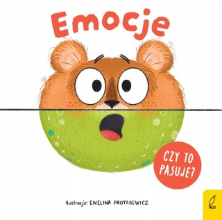 Czy to pasuje? Emocje Patrycja Klempas Wilga
