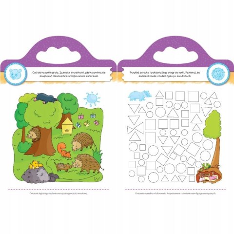 Domowe przedszkole od 5 lat Zabawy edukacyjne z naklejkami Aksjomat