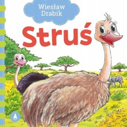 Książeczka Struś Wiesław Drabik Twarda Bajka Bajki