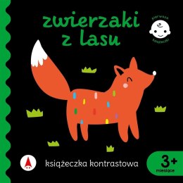 Książeczka kontrastowa Zwierzaki z Lasu 3m+ Pierwsze książeczki Maluszka