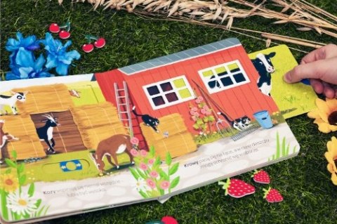 Na wsi Młodzi przyrodnicy Ruchome elementy