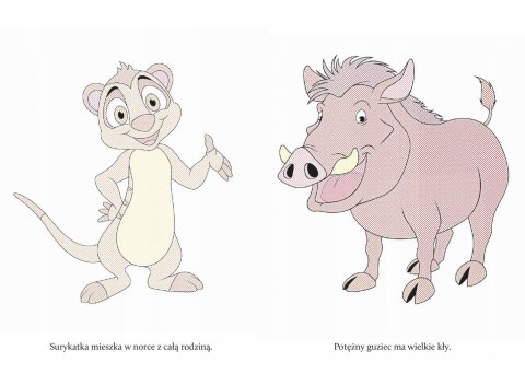 Wyczaruj Zwierzęta Egzotyczne Malowanka Wodna