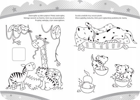 Zdolny 2-latek z naklejkami Ćwiczenia Zagadki 2+