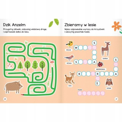 Zwierzęta w Lesie. Łamigłówki Przedszkolaka 4+ Aksjomat