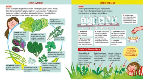 Basia i zagadki wszechświata Liście HarperKids